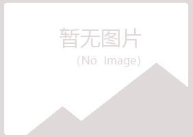 明光盼山会计有限公司